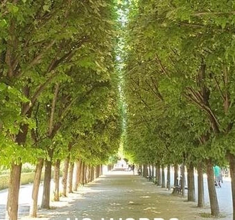 Le nom de la marque évolue…