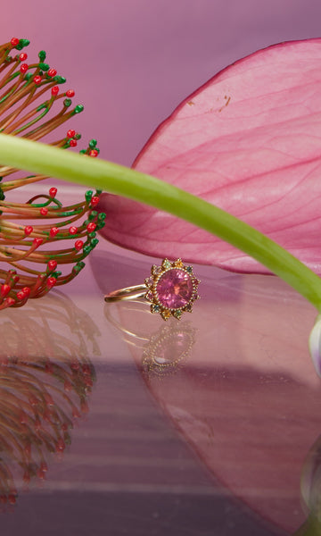 Selection Noël Disponibles